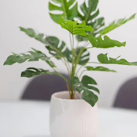 Apartament Tonis St. Julian's