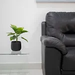 Apartment Tonis Saint Julian's